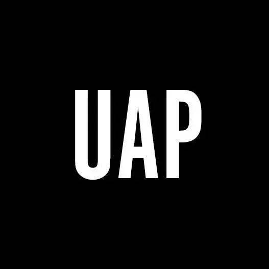 回顧 昆士蘭公共藝術設計咨詢公司uap自拍熊貓項目實地考察,共促中澳文化交流新合作
