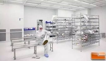 地球人一般都不知道 手機芯片竟然是這樣誕生的